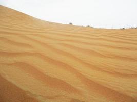 golven van zand textuur. duinen van de woestijn. woestijn duinen zonsondergang landschap. foto
