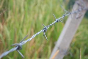 prikkeldraad hek en groene veld close-up foto