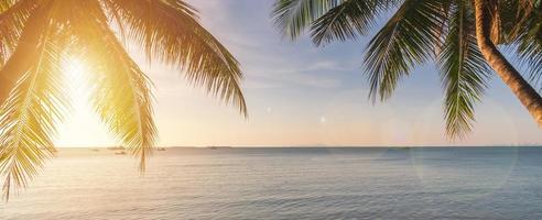 kokosnoot plam boom met zonsondergang Bij tropisch strand, zomer vakantie concept, banier panorama foto