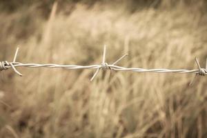 prikkeldraad hek en groene veld close-up foto