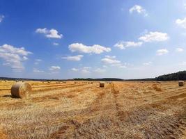 ronde goudafvoeren in het veld. de oogst van graan, tarwe. hooi oogsten voor vee, landbouw, graangewassen foto