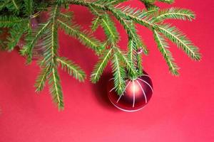 rode kerstbal met witte strepen op een levende sparrentak in een vaas op een rode achtergrond. nieuwjaar, kerst, kopieer ruimte foto