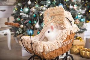 een wit konijn zit binnen een retro baby wandelwagen voor poppen. Kerstmis decor, Kerstmis boom met lichten slingers. nieuw jaar. huisdieren Bij huis foto