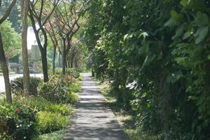 regenachtig dag in een leeg park in signapore foto