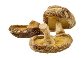 droge Aziatische paddenstoel foto