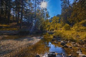 een Woud rivier- met Aan een mooi herfst dag foto