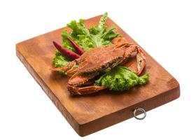 gekookt krab Aan houten bord en wit achtergrond foto