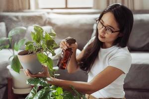 Aziatisch vrouw zorg voor planten Bij huis. Aziatisch vrouw tuinieren Bij huis, huis tuinieren. foto