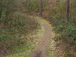 wandelen in de Duitse münsterland foto