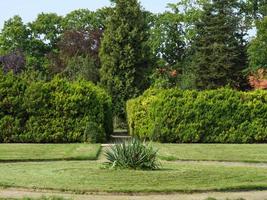 zomer tijd in een park in noordelijk Duitsland foto