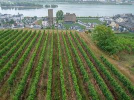 rüdesheim Bij de Rijn rivier- foto