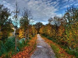 herfsttijd in Westfalen foto