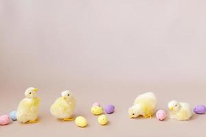 Pasen achtergrond met Pasen kuikens en eieren. Pasen decor foto