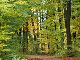 herfsttijd in Westfalen foto