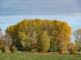 herfsttijd in Westfalen foto