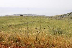 landschap in de bergen in noordelijk Israël. foto