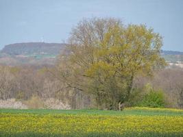 wandelen in de Duitse baumberge foto