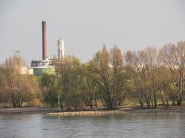 de Rijn rivier- in de buurt Keulen foto