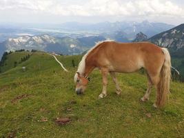 in de Beiers Alpen foto