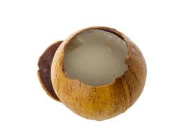 kokosnoot op witte achtergrond foto