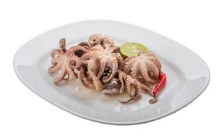 gekookt Octopus Aan de bord en wit achtergrond foto