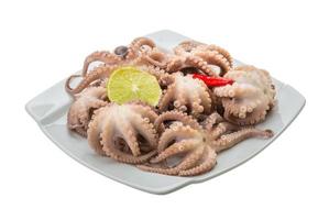 gekookt Octopus Aan de bord en wit achtergrond foto