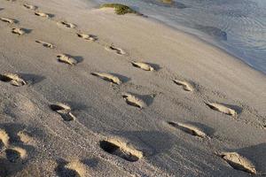voetafdrukken in de zand Aan de kusten van de middellandse Zee zee. foto