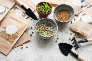 microgreenzaden in papieren zakken en apparatuur voor het zaaien van microgreens. foto