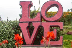 lief bloemen tuin park premie foto