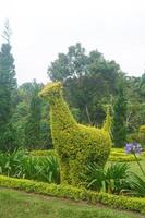 dier bloemen tuin park natuur achtergrond premie foto