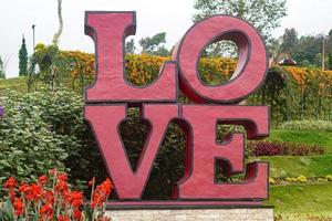 lief bloemen tuin park premie foto