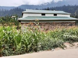 kasjmir, Pakistan, aug 2022 - Kasjmir is de meest mooi regio in de wereld welke is beroemd voor haar groen valleien, mooi bomen, hoog bergen en vloeiende veren. foto