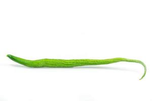 slang kalebas geïsoleerd Aan wit achtergrond met knipsel pad foto