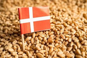 granen tarwe met Denemarken vlag, handel exporteren en economie concept. foto