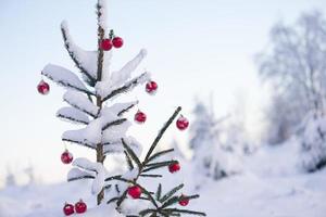 Kerstmis ballen Aan pijnboom boom foto