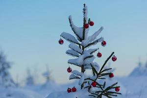 Kerstmis ballen Aan pijnboom boom foto