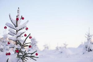 Kerstmis ballen Aan pijnboom boom foto