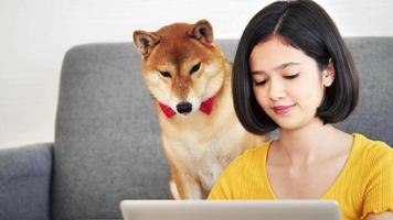 Aziatisch vrouw werken Aan een laptop computer en shiba inu hond zittend Aan een sofa Bij huis foto