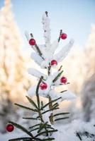 Kerstmis ballen Aan pijnboom boom foto