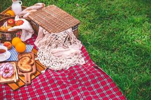 zomer picknick met een mand van voedsel Aan deken in de park. vrij ruimte voor tekst foto