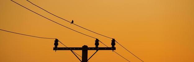 een vogelstand Aan een draad Bij zonsondergang. foto
