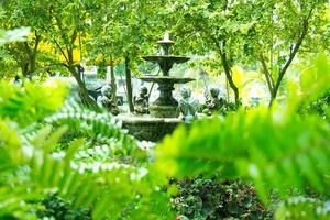 fontein meerlagig wijnoogst stijl in groen tuin. foto