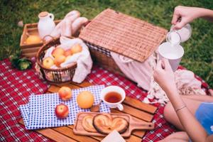 dichtbij omhoog van vrouw genieten van picknick in een park. foto