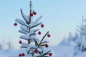 Kerstmis ballen Aan pijnboom boom foto