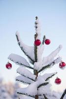 Kerstmis ballen Aan pijnboom boom foto