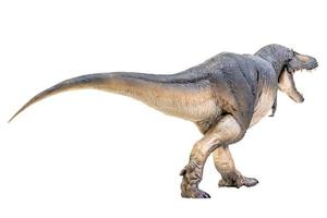tarbosaurus dinosaurus Aan wit isoleren achtergrond knipsel pad foto