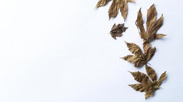 herfst samenstelling. gedaald geel en bruin bladeren. top visie. minimaal concept. kopiëren ruimte. foto