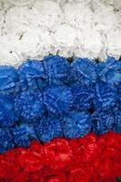 vlag van Rusland is gemaakt van bloemen. wit, blauw en rood. kunstmatig bloemen verbeelden drie kleuren. foto