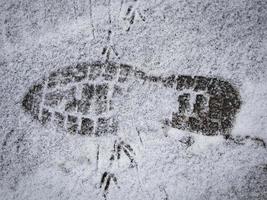 een voetstap Aan licht vers brokkelig sneeuw met veel vogel voetafdrukken foto