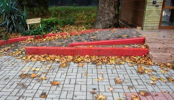 de trottoir met rood borders is gedekt met een veel van gedaald kleurrijk herfst bladeren foto